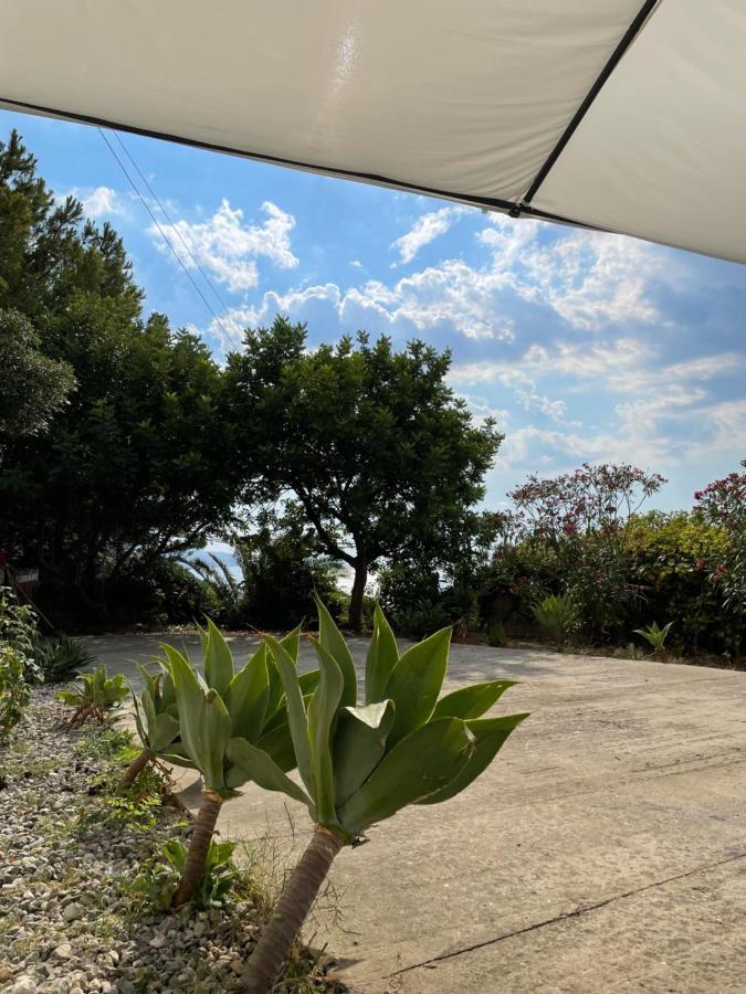 Vila Casa Vacanze Piedigrotta Pizzo  Exteriér fotografie